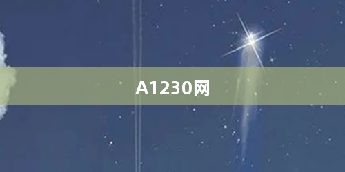 A1230网