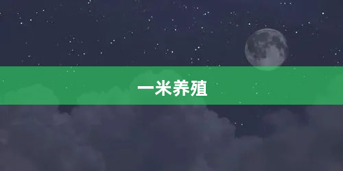 一米养殖