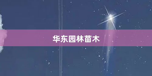 华东园林苗木