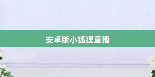 安卓版小狐狸直播
