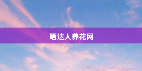 晒达人养花网