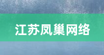 江苏凤巢网络
