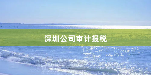 深圳公司审计报税