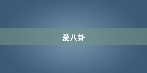 爱八卦