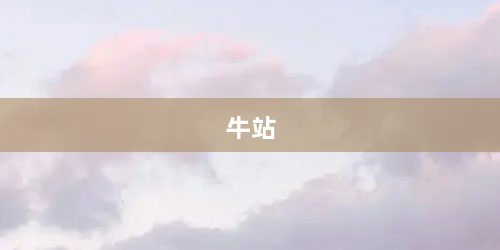 牛站