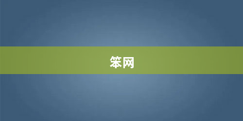 笨网