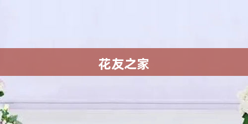 花友之家
