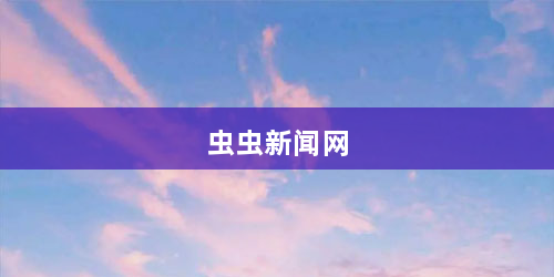 虫虫新闻网